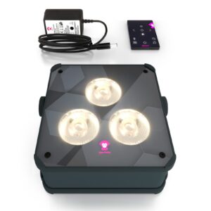 Ape Labs Maxi 2.0 IP Battery-Powered LED Light (Set of 1)